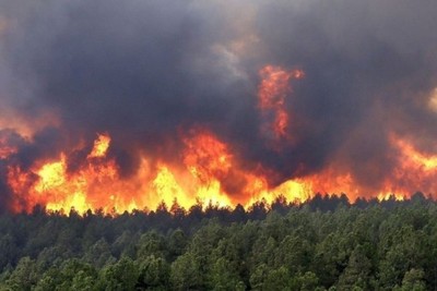 Türkiye, forest fires: flames reach the city of Belen