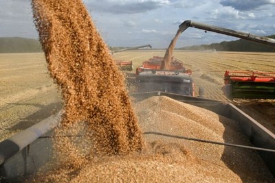 رایزنی وزرای خارجه روسیه و ترکیه درباره توافق غلات