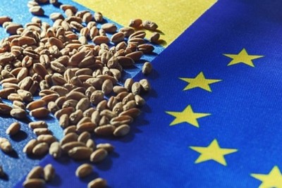 Wheat Agreement, Erdogan: next talks with the UN and the West