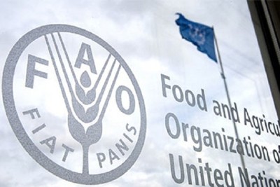 FAO. World food prices have set a new record