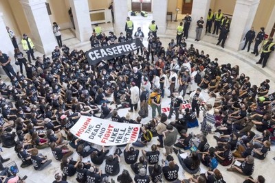 Порядка 300 человек были задержаны после пропалестинской акции в Вашингтоне