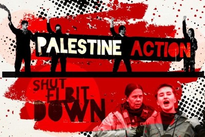 Pro-Palestinian activists say they shut down a Boston arms company that supplied Israel with weapons