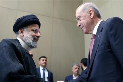 اردوغان در دیدار با رئیسی: جهان اسلام باید فشار بر اسرائیل را افزایش دهد