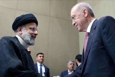 Navigating Challenges: Iran and Turkey's Cooperative Approach to Alleviate the Gaza Crisis