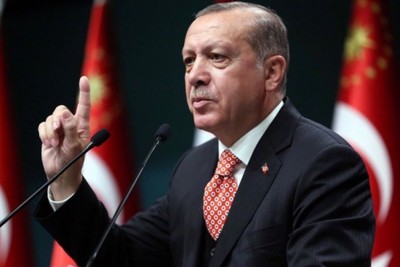 Erdogan's call to reform the UN Security Council