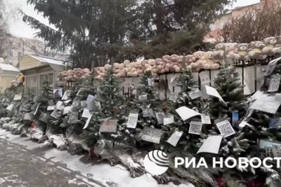 У посольства Палестины в Москве выставили ели с фото последствий конфликта