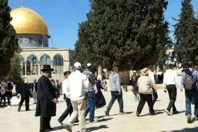 At least 48,000 Zionist settlers invaded Al-Aqsa Mosque in 2023