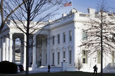 «Коррупция всего» — демократы в США подчинили себе все сферы общественной жизни