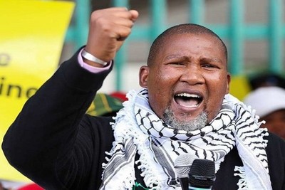 African Politician: Some Arab countries are disappointed in the Palestinian issue