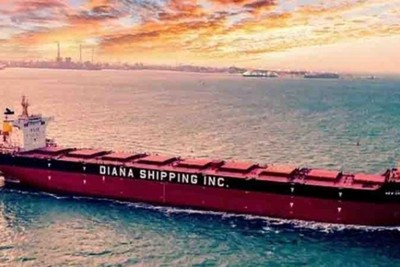 "Diana" cargo transport company has stopped the passage through the Suez Canal