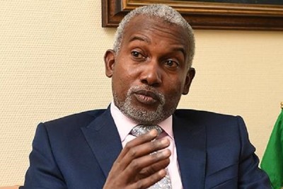 Nigerian Minister: Killing of Palestinians in Gaza is not justified