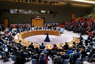 Palestine's UN membership file still awaits approval