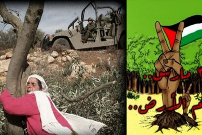 Ireland: We must recognize the existence of an independent Palestinian state