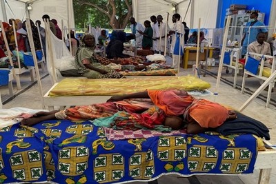 391 people died of cholera and dengue fever in Sudan