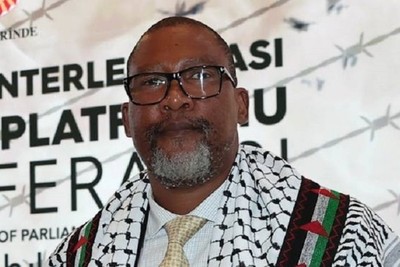 Mandela's grandson: South Africa has been inspired by the resilience of the Palestinians