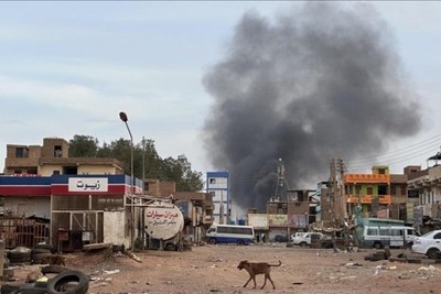 New fighting is reported between the Sudanese army and the RSF in Darfur