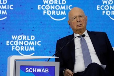 Why does the World Economic Forum seek to interfere in the affairs of national and local institutions?