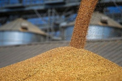 Russia and the United Nations have confirmed the importance of securing Russian grain exports