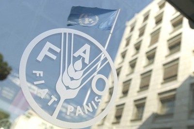 Усилия ФАО по превращению Ирана в центр продовольственной безопасности в регионе
