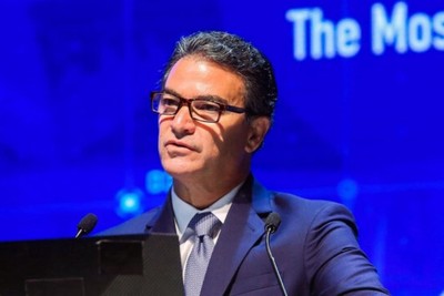 قاعدة الغابة