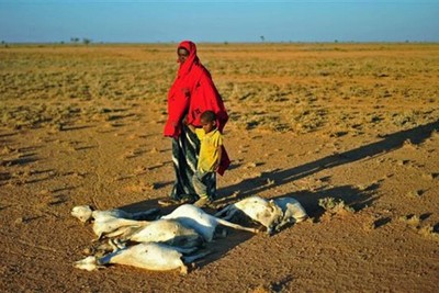 63% of children in Somalia face severe food poverty