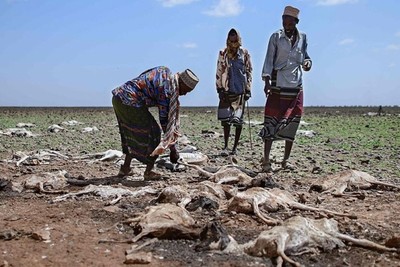 63 million people are food insecure in the Horn of Africa