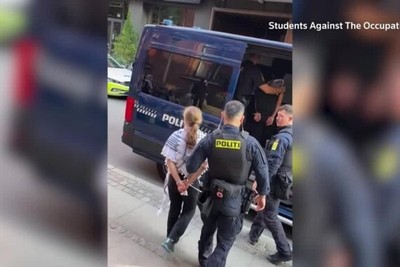 Greta Thunberg arrested at pro-Palestinian demo in Denmark