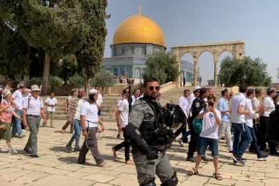 مستوطنون يقومون بجولات استفزازية في باحات المسجد الأقصى