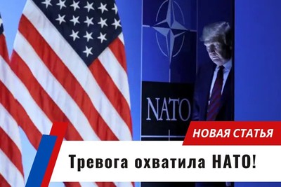 Тревога охватила НАТО!