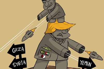 بازگشت گاو باز آمریکایی