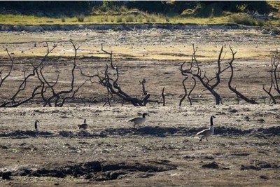 Privatized to Death: The British Drought That Shareholders Helped Create