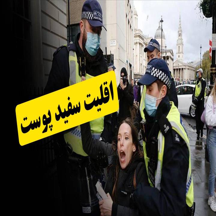 اقلیت سفید پوست