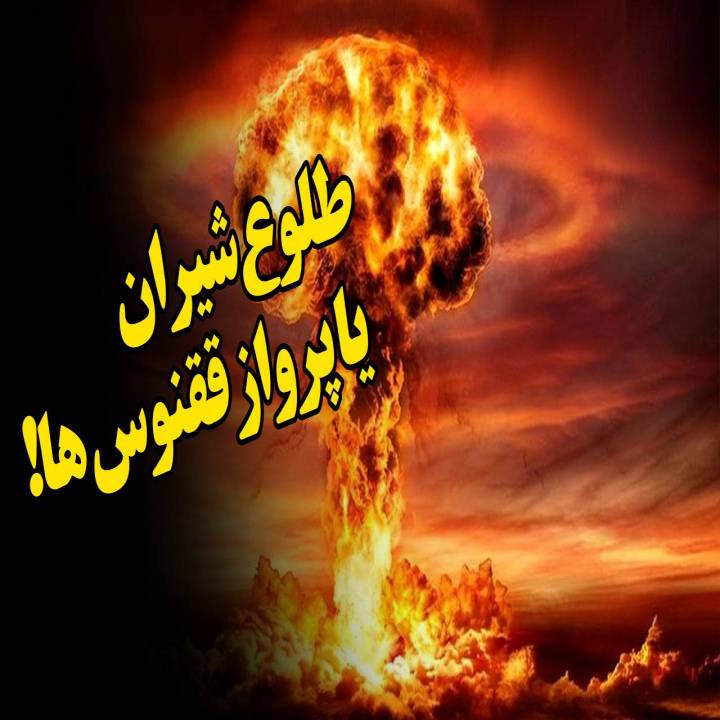 طلوع شیران یا پرواز ققنوس ها!
