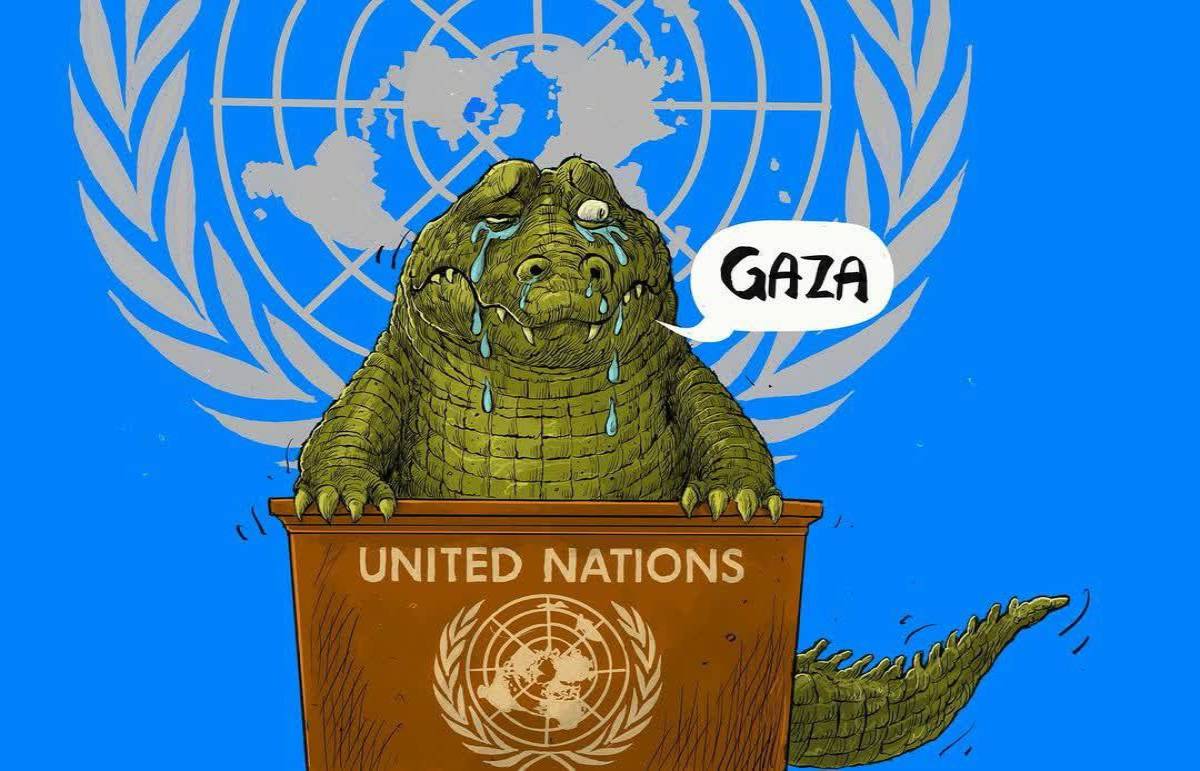UNITED NATIONS