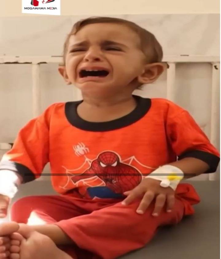 Who heard the cries of Gaza's children