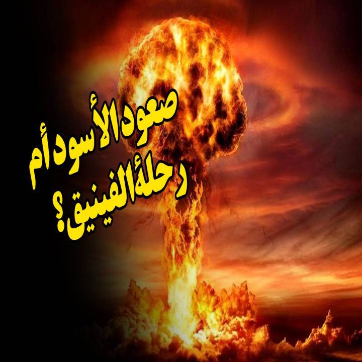 صعود الأسود أم رحلة الفينيق؟