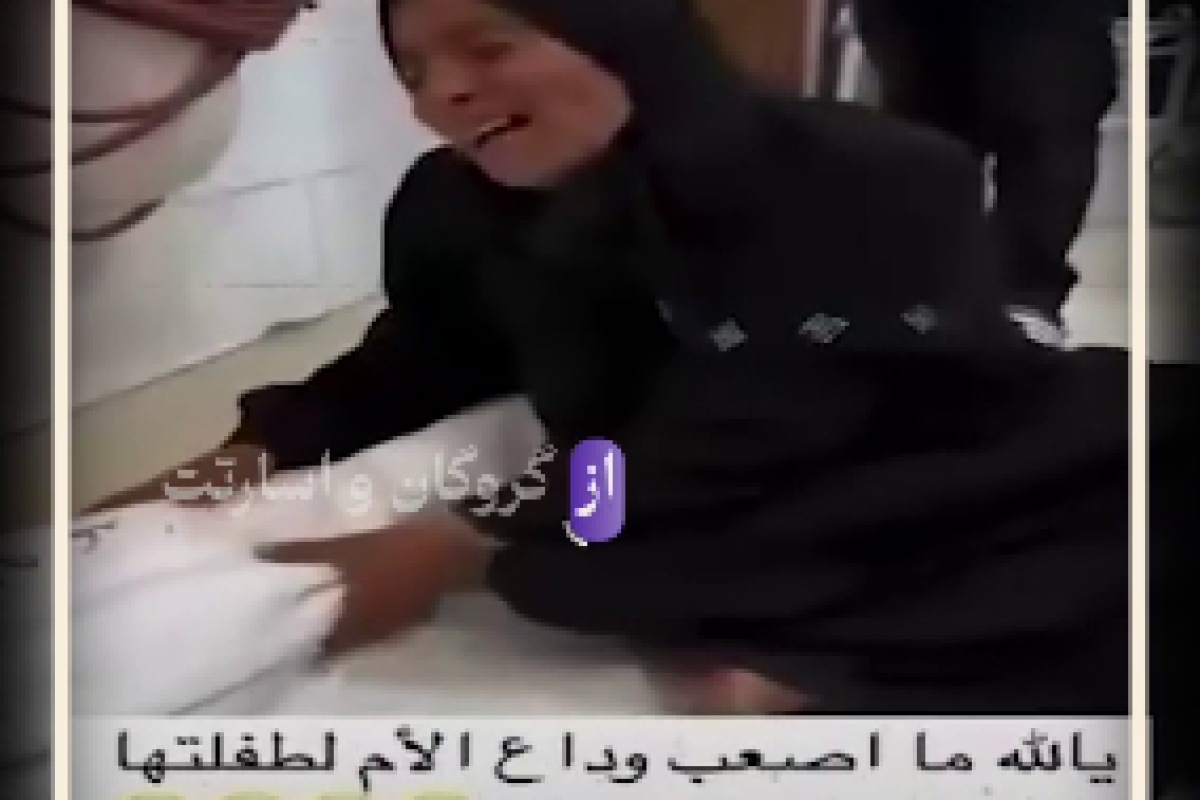 حمایتی درکار نیست