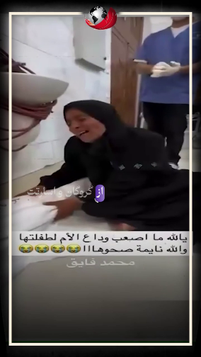 حمایتی درکار نیست