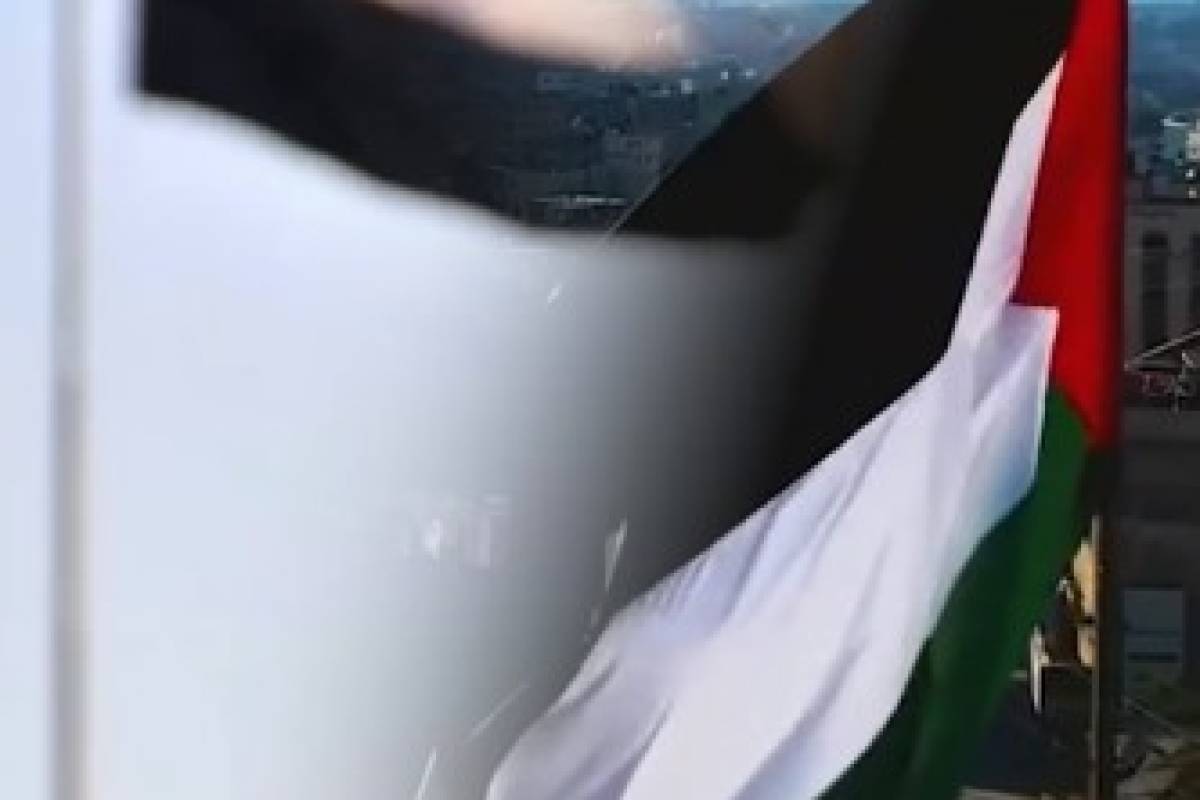 اليمن يثبت قوته يوم بعد يوم