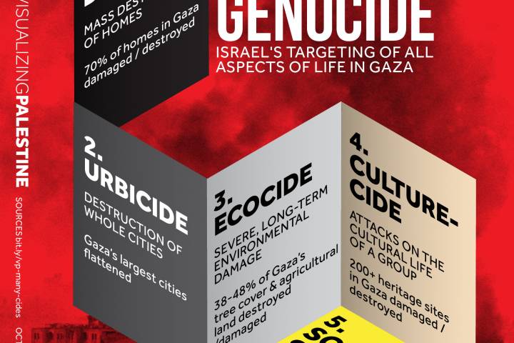 Many "Cides" of Genocide