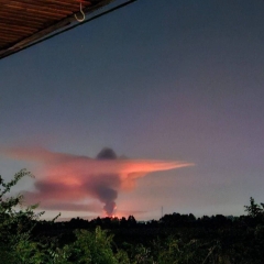 سنجش ضمانت اجرایی سازمان منع گسترش سلاح های شیمیایی