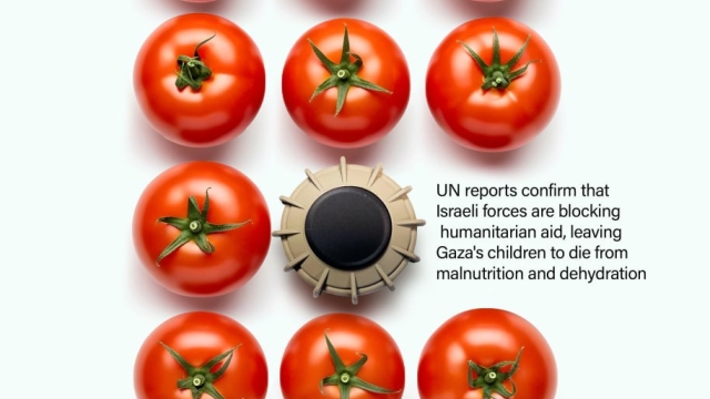 UN reports confirm that Israeli forces are blocking humanitarian aid