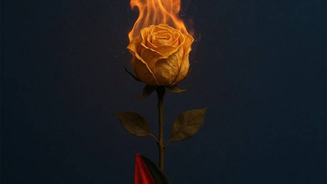 HASHTAGS WON’T FEED GAZA’S CHILDREN