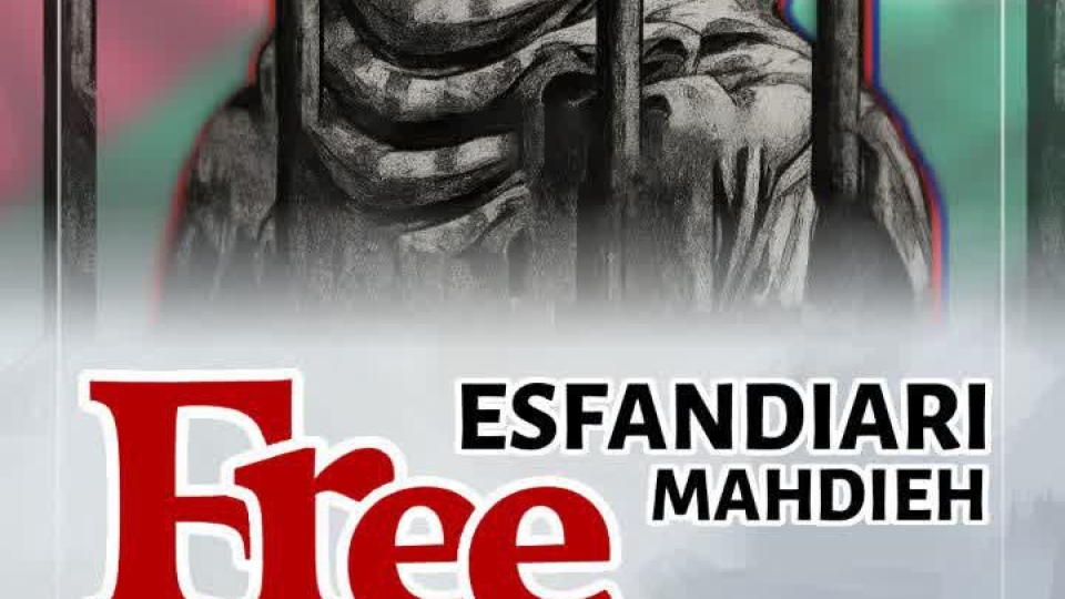 مجموعه پوستر : آزادی بیان و حقوق بشر اروپایی