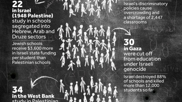 The Palestinian Class of 2025