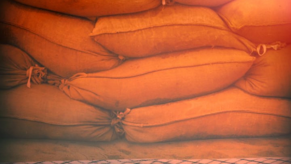 مجموعه پوستر: نظر شخصیت های جهان در مورد شهید نصرالله سری اول