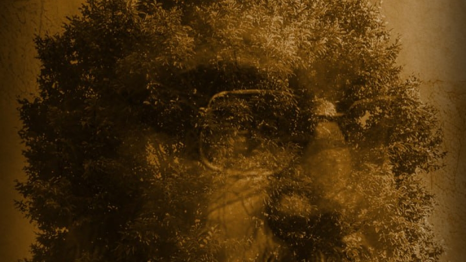 مجموعه پوستر : شکست اسرائیل فقط با مقاومت ممکن است