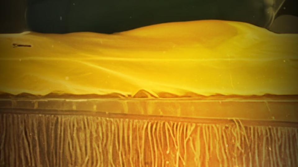 مجموعه پوستر : شکست اسرائیل فقط با مقاومت ممکن است