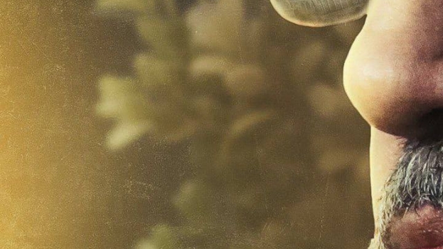 لن نتخلى عن فلسطين