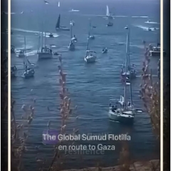 Zionist Regime Trains Commandos to Attack Gaza Aid Flotilla